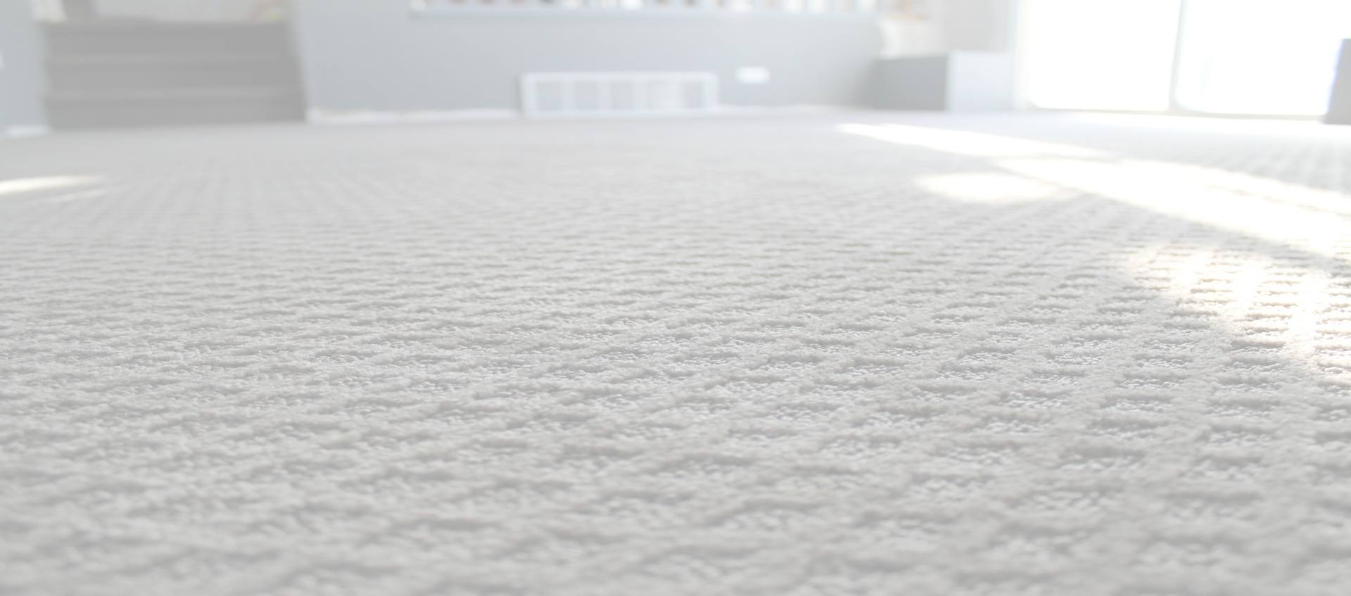 Carpet Cleaning Dallas TX